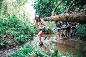 BIB: 
                            <button type="button" onclick="openModal(25514799)" class="btn btn-primary btn-sm float-right btn-popup" data-toggle="modal" data-target=".modal-high-quality">
                        <i class="fas fa-shopping-cart"></i> Add to Cart
                    </button>
                                            <button type="button" onclick="isThisMe(25514799, true)" class="btn btn-success btn-sm float-right btn-popup btn-isme hidden" data-toggle="tooltip" data-placement="bottom" title="นี่คือรูปของคุณใช่ไหม คลิกที่นี่เพื่อเอาเข้าอัลบั้ม">
                        <i class="fas fa-plus"></i> Add to album
                    </button>
                    <button type="button" onclick="isThisMe(25514799, false)" class="btn btn-warning btn-sm float-right btn-popup btn-isnotme hidden">
                        <i class="fas fa-ban"></i> Remove from album
                    </button>